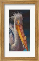 Framed Pelican