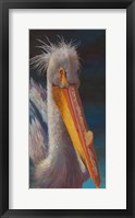 Framed Pelican