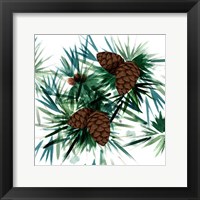 Christmas Hinterland II-Pine Cones Framed Print