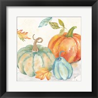 Pumpkin Patch II Framed Print