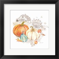 Pumpkin Season III Framed Print
