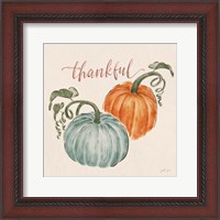 Framed Harvest Jewels III Pumpkins