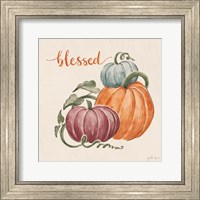 Framed Harvest Jewels IV Pumpkins Sq