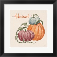 Harvest Jewels IV Pumpkins Sq Framed Print