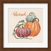 Framed Harvest Jewels IV Pumpkins Sq