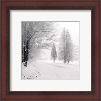 Framed Let it Snow II BW No Words