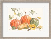 Framed Happy Harvest Pumpkins