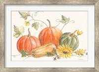 Framed Happy Harvest Pumpkins