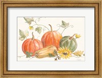 Framed Happy Harvest Pumpkins