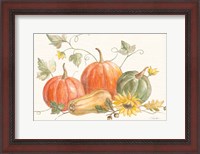 Framed Happy Harvest Pumpkins