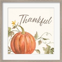 Framed 'Happy Harvest VIII Thankful' border=