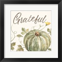 Happy Harvest VII Grateful Framed Print