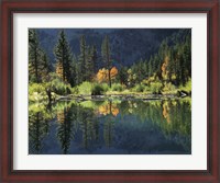 Framed Autumn Colors Of Aspen Trees Reflecting In A Beaver Pond