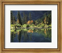 Framed Autumn Colors Of Aspen Trees Reflecting In A Beaver Pond