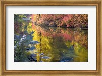Framed Deep Fall Colors, Wenatchee River, Washington State