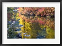 Framed Deep Fall Colors, Wenatchee River, Washington State