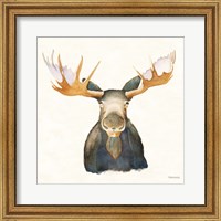 Framed Moose on Cream