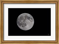 Framed Spring Moon