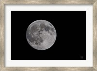 Framed Spring Moon