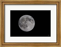 Framed Spring Moon