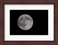 Framed Spring Moon