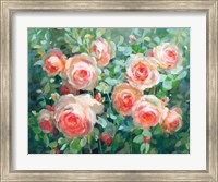 Framed English Roses