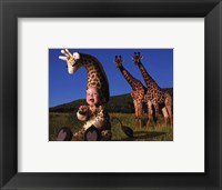 Framed Imaginary Safari Giraff