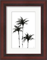 Framed Dark Palms II