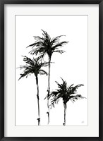 Framed Dark Palms II