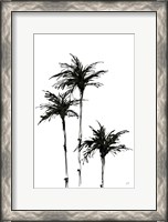 Framed Dark Palms II