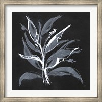 Framed Chalkboard Branch II