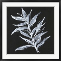 Framed White Fern II