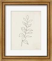 Framed August Branch I