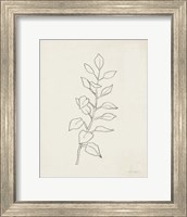 Framed August Branch I