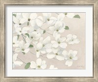 Framed Dogwood Delight Cream