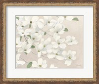 Framed Dogwood Delight Cream