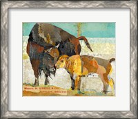 Framed Bison and Baby