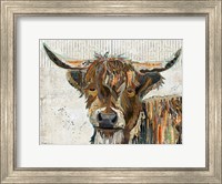 Framed Highland Cow