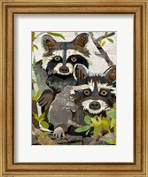 Framed Raccoons