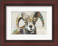 Framed Wild Bighorn Sheep