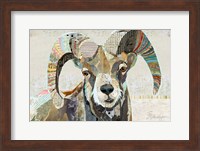 Framed Wild Bighorn Sheep