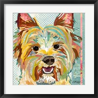 Framed Yorkie