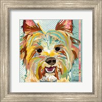 Framed Yorkie