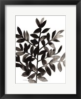 Botanical with Nagi Fern No. 2 Framed Print