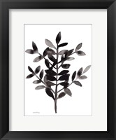 Framed Botanical with Nagi Fern No. 3