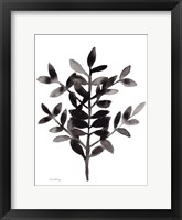 Botanical with Nagi Fern No. 3 Framed Print