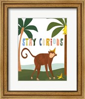 Framed Stay Curious