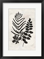 Botanica 1 Framed Print