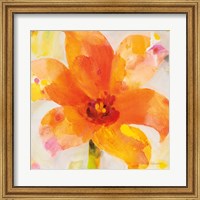 Framed Bright Tulips II