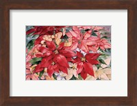 Framed Poinsettia